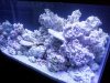2011-09-05 16.04.34.jpg
