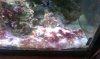 fishtank1.jpg