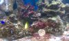 fishtank2.jpg