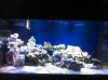 ImageUploadedByTapatalk1315540513.606579.jpg