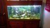 new tank.jpg