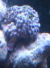 ImageUploadedByTapatalk1315765272.444597.jpg