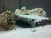 IMG_20110911_170728.jpg