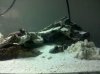 IMG_20110911_170736.jpg