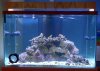 Tank with LED's.jpg