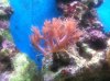 iphone photos 342.jpg