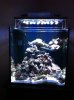 reeftank1-3.jpg