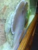 DSC04255.jpg