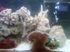 DSC04253.jpg