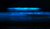 Picture_4_r300x179.png
