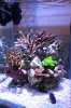 spotlight-tank2.jpg
