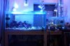 spotlight-tank3.jpg