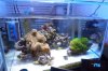 spotlight-tank4.jpg