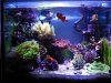 spotlight-tank5.jpg