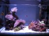 spotlight-tank6.jpg