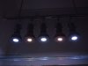 spotlight-tank7.jpg