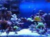 spotlight-tank9-4.jpg