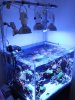 spotlight-tank9-5.jpg