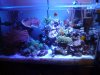spotlight-tank10.jpg
