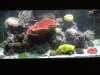 DSCN3321.jpg