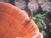 DSCN3319.jpg