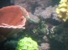 DSCN3318.jpg