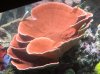 DSCN3320.jpg