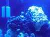IMG-20111001-00040.jpg