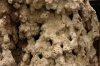 6rs IMG_2890 DPP Close up.JPG