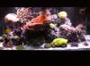 DSCN3353.jpg