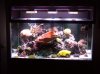 DSCN3359.jpg