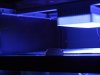 DSCN3364.jpg