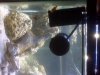 fish_tank_pic_2.jpg