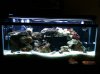 recent tank 10-1.jpg