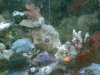 uploadfromtaptalk1318267247618.jpg