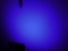 S1010006.jpg