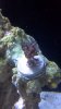 2011-10-13_14-35-50_141.jpg