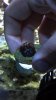 2011-10-14_14-44-56_175.jpg