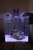 fish tank 006.jpg