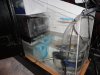 DSC00110.JPG