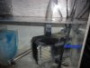 DSC00111.JPG