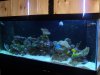 DSCN1444.jpg