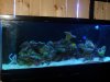 DSCN1445.jpg