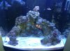 IMG_20111019_183411.jpg