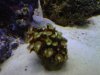 Union-20111022-00280.jpg
