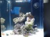 DSCN1432.jpg