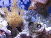 IMG_4721.jpg