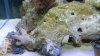 DSCN1443.jpg