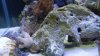 DSCN1445.jpg