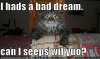 funny-pictures-scared-cat-bed-couch.jpg